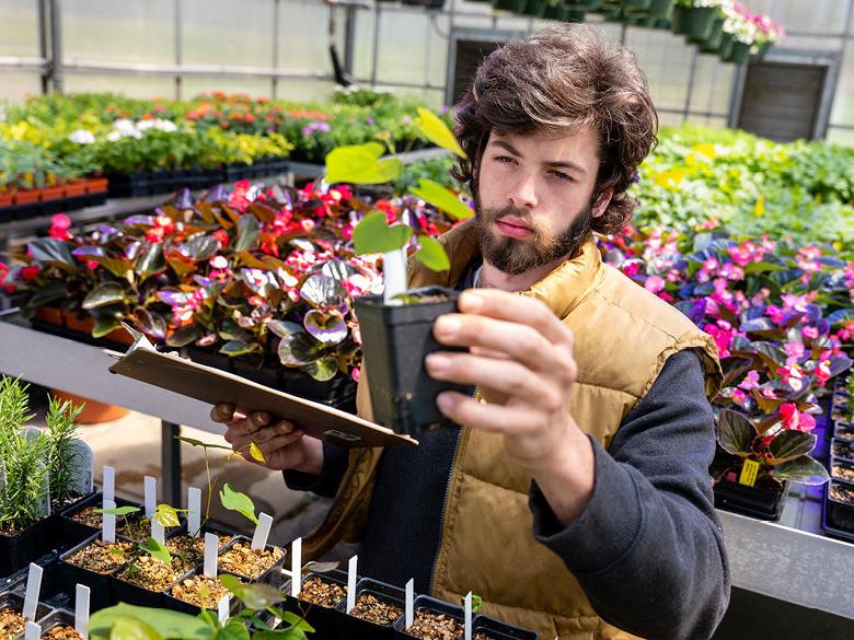 Student examining plants in greenhouse